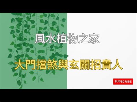 玄關擋煞植物|玄關可以放什麼植物？招財辟邪、淨化空氣，打造風水好宅！